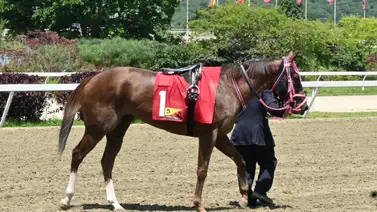 Hermano materno de la ganadora de tres La Barbie va a su prueba de estreno este domingo en la R37 Hermano materno de la ganadora de tres La Barbie va a su prueba de estreno este domingo en la R37