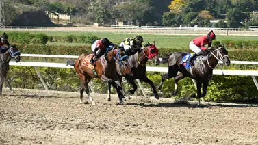 ¡El dato atrasado está de vuelta! Reaparece en La Rinconada el hijo de un semental legendario ¡El dato atrasado está de vuelta! Reaparece en La Rinconada el hijo de un semental legendario