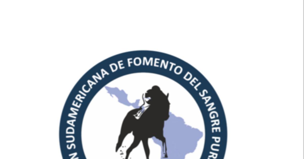 La OSAF informa sobre el “Lanzamiento del programa objetivo Latino”