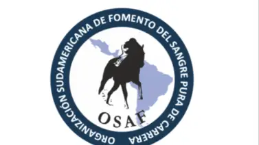La OSAF informa sobre el “Lanzamiento del programa objetivo Latino” La OSAF informa sobre el “Lanzamiento del programa objetivo Latino”