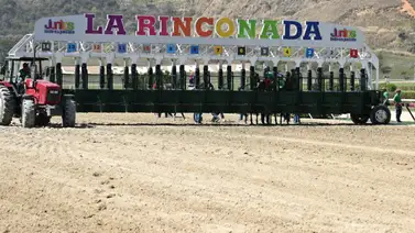 Hija de un ganador del Preakness Stakes (G1) hace su estreno este domingo en La Rinconada Hija de un ganador del Preakness Stakes (G1) hace su estreno este domingo en La Rinconada