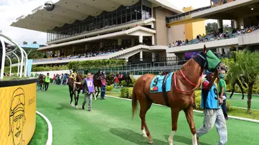 La Rinconada se prepara: Yegua que fue "dato" regresa con ejercicios previos fenómenos La Rinconada se prepara: Yegua que fue "dato" regresa con ejercicios previos fenómenos