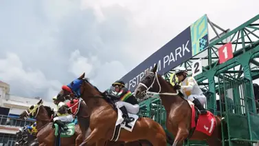 Conoce las razones por las cuales Hípica TV no podrá transmitir en Gulfstream Park Conoce las razones por las cuales Hípica TV no podrá transmitir en Gulfstream Park