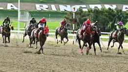 Gaceta Hípica TV:  La mejor información del hipismo nacional e internacional (EN VIVO)