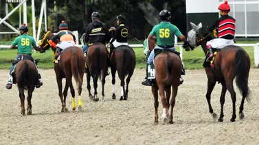 Mucha atención: Importante corredora importada fue retirada del ciclo no válido de la R37 Mucha atención: Importante corredora importada fue retirada del ciclo no válido de la R37