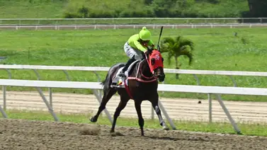 Uno de los favoritos del ciclo no válido ajusta “clavo” y no debería perder este domingo en La Rinconada Uno de los favoritos del ciclo no válido ajusta “clavo” y no debería perder este domingo en La Rinconada