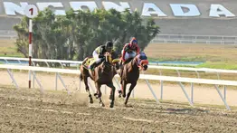 ¡Ojo con este! Un ejemplar logró el mejor ajuste del miércoles y se perfila como un lance imperdible en La Rinconada