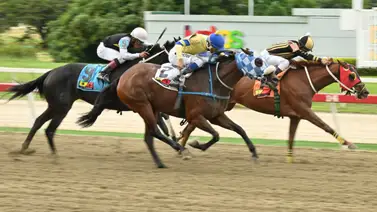 Te revelamos el "dato corrido" que todos buscan y que podría darte la victoria en la primera válida Te revelamos el "dato corrido" que todos buscan y que podría darte la victoria en la primera válida