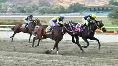 En carrera de muchos datos esta yegua ajustó contenido y de ganar tumbaría los cuadros de la pared en la R37 En carrera de muchos datos esta yegua ajustó contenido y de ganar tumbaría los cuadros de la pared en la R37