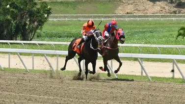 Lo que todo aficionado hípico debe saber sobre Bendito uno de los fijos del 5y6 dominical Lo que todo aficionado hípico debe saber sobre Bendito uno de los fijos del 5y6 dominical