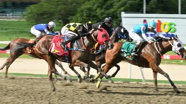 El dato de oro: Te decimos cuál es el "robo" que toda Venezuela espera en la segunda válida para el 5y6 dominical El dato de oro: Te decimos cuál es el "robo" que toda Venezuela espera en la segunda válida para el 5y6 dominical