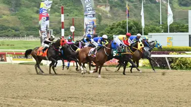 Fijos y potentes: Estos son los caballos con más proyección de triunfo en La Rinconada Fijos y potentes: Estos son los caballos con más proyección de triunfo en La Rinconada
