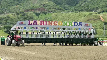 Cómo ajustó la gran opción de Gaceta Hípica generará mucha expectativas en su debut para el 5y6 de la R37