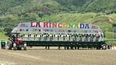 Cómo ajustó la gran opción de Gaceta Hípica generará mucha expectativa en su debut para el 5y6 de la R37 Cómo ajustó la gran opción de Gaceta Hípica generará mucha expectativa en su debut para el 5y6 de la R37