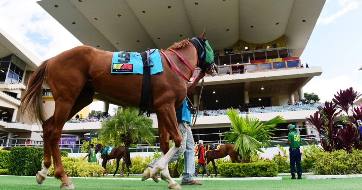 Données de dernière minute pour l’hippodrome de La Rinconada 28-9-2025