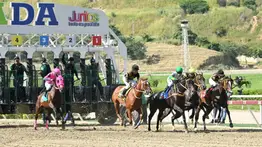 Favoritos de la cátedra para el 5y6 Nacional de la reunión N°37 en el hipódromo La Rinconada