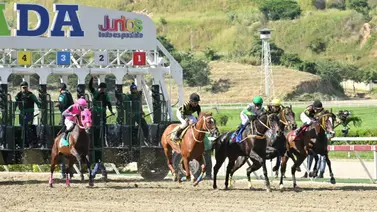 Favoritos de la cátedra para el 5y6 Nacional de la reunión N°37 en el hipódromo La Rinconada