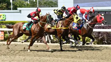 Entérate de este ejemplar que logró uno de los mejores ajustes y queda listo para competir en el ciclo no válido de la R37 Entérate de este ejemplar que logró uno de los mejores ajustes y queda listo para competir en el ciclo no válido de la R37