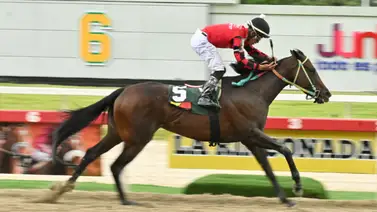 En el 5y6 dominical participa el "Tajo" de Abraham Campos que se lució con uno de los mejores ajustes del jueves En el 5y6 dominical participa el "Tajo" de Abraham Campos que se lució con uno de los mejores ajustes del jueves