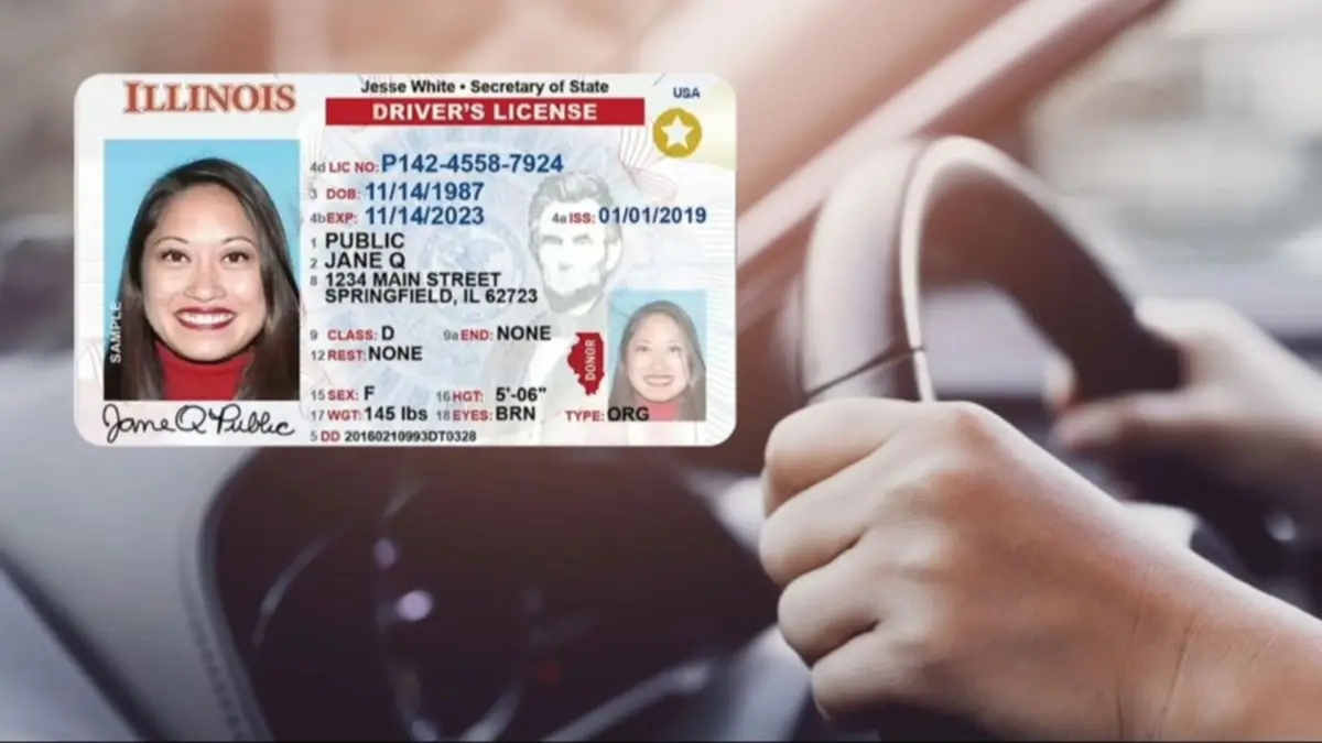 Licencia de conducir en Illinois