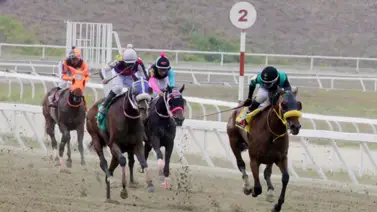 Entrenador Ismael Martínez sufre una baja por el retiro de una de sus yeguas en el 5y6 dominical Entrenador Ismael Martínez sufre una baja por el retiro de una de sus yeguas en el 5y6 dominical