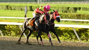 Conozca la razón del retiro de esta yegua que a su entrenador Rafael Alemán Jr. le gustaba mucho para el 5y6 Conozca la razón del retiro de esta yegua que a su entrenador Rafael Alemán Jr. le gustaba mucho para el 5y6