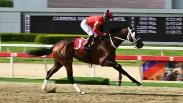 Así quedó el ajuste más destacado de la "Sorpresa" de Gabriel Márquez para el 5y6 dominical Así quedó el ajuste más destacado de la "Sorpresa" de Gabriel Márquez para el 5y6 dominical