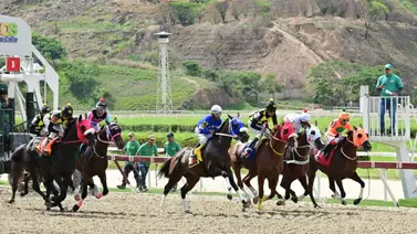 ¡Atención Hípicos! La alternativa al duelo Bendito vs. Rey Enigma el batacazo de la tarde está aquí