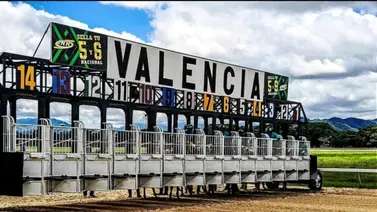 Este es el ejemplar retirado de la Reunión 19 en Valencia 27-09-2025