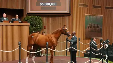 Así fue el debut del potro que costó $5.000.000 en la subasta de Keeneland 2024 