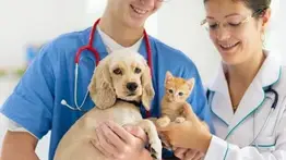 Misión Nevado activa jornada de vacunación antirrábica en esta entidad (+Detalles)