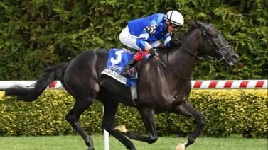 Al reverendo galope: Rebel's Romance conquista el Joe Hirsch Turf Classic (G1) Al reverendo galope: Rebel's Romance conquista el Joe Hirsch Turf Classic (G1)