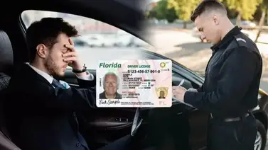 EEUU licencias de conducir EEUU licencias de conducir