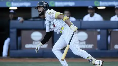 Leones del Caracas inicia sus trabajos con varios "caballos" en el terreno Leones del Caracas inicia sus trabajos con varios "caballos" en el terreno