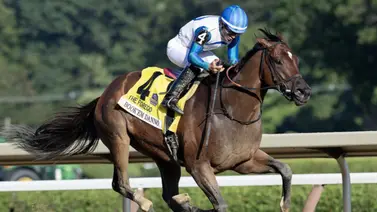 Conozca la razón por la que Book'em Danno no estará presente en la Breeders' Cup