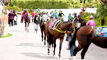 Estos son los retirados de la Reunión N°37 en La Rinconada 28-9-2025 Estos son los retirados de la Reunión N°37 en La Rinconada 28-9-2025