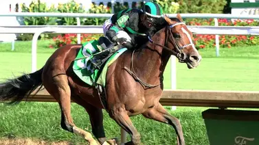 Gloria en Churchill Downs: Mystik Dan logra con victoria el Lukas Classic Stakes (G2)