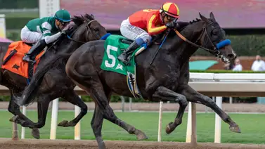 Nevada Beach sorprende el Goodwood Stakes (G1) y logra su cupo para la Breeders' Cup Classic Nevada Beach sorprende el Goodwood Stakes (G1) y logra su cupo para la Breeders' Cup Classic