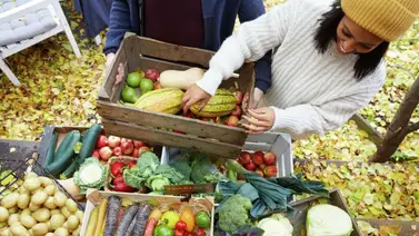 Despensas de alimentos hasta el 4 de octubre ¿Cómo obtenerlas?