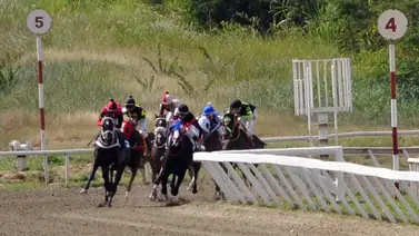 Comisarios de La Rinconada actúan: Doble multa a destacado jinete aprendiz (+resolución) Comisarios de La Rinconada actúan: Doble multa a destacado jinete aprendiz (+resolución)