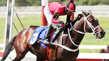 Aray mantiene el control: El jinete extiende su ventaja de victorias en el tercer meeting Aray mantiene el control: El jinete extiende su ventaja de victorias en el tercer meeting