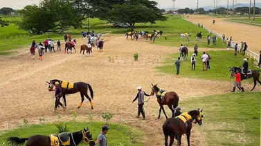 Inédito: Un formidable padrillo logra esta hazaña sin precedente en el hipismo venezolano Inédito: Un formidable padrillo logra esta hazaña sin precedente en el hipismo venezolano