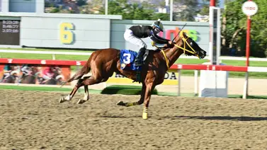 De vuelta a la pista: Jinete ganador de meeting esta listo para el resto de la campaña De vuelta a la pista: Jinete ganador de meeting esta listo para el resto de la campaña
