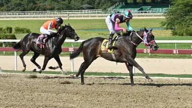 La favorita que falló: Tras cuatro derrotas frustrantes yegua regresa para la R38 con todo por demostrar La favorita que falló: Tras cuatro derrotas frustrantes yegua regresa para la R38 con todo por demostrar