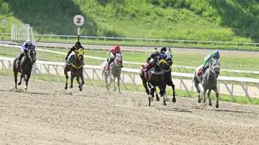 ¡Recuperación Total! La yegua regresa en estado óptimo y es una candidata seria para la R38 ¡Recuperación Total! La yegua regresa en estado óptimo y es una candidata seria para la R38