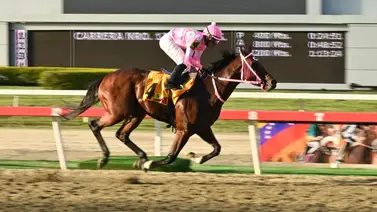 Ejemplar importado que debutó con victoria reaparece con trabajos fenómenos y extraordinarios en La Rinconada Ejemplar importado que debutó con victoria reaparece con trabajos fenómenos y extraordinarios en La Rinconada