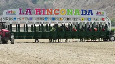 Potra de linaje selectivo busca sorpresa en el 5y6: Regresa tras un debut muy cercano para la R38