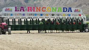 Potra de linaje selectivo busca sorpresa en el 5y6: Regresa tras un debut muy cercano para la R38 Potra de linaje selectivo busca sorpresa en el 5y6: Regresa tras un debut muy cercano para la R38