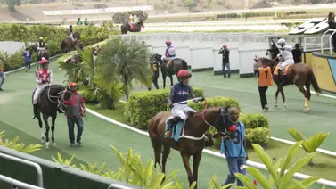 Hijo de An Serafini vuelve tras 147 días a La Rinconada y se apuntará para la gloria en el 5y6