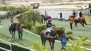 Hijo de An Serafini vuelve tras 147 días a La Rinconada y se apuntará para la gloria en el 5y6 Hijo de An Serafini vuelve tras 147 días a La Rinconada y se apuntará para la gloria en el 5y6